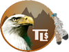 tribal-lending-logo